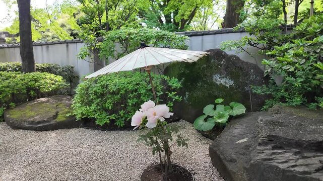 Ueno Toshogu peony garden with blooming flowers and paths April 25 2026