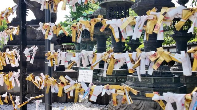 Ueno Toshogu Shrine ornate architecture with gold decorative details April 25 2026