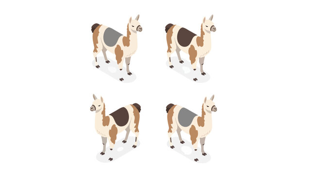 Four isometric llamas standing on a white background with shadows.
