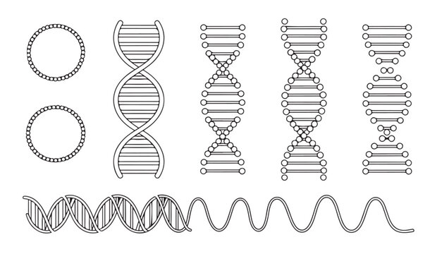Dna icons set, molecular structures collection, genetic code vector sketches.
