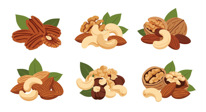 Collection of six different arrangements of mixed nuts including walnuts, almonds, cashews, and pecans with green leaves.