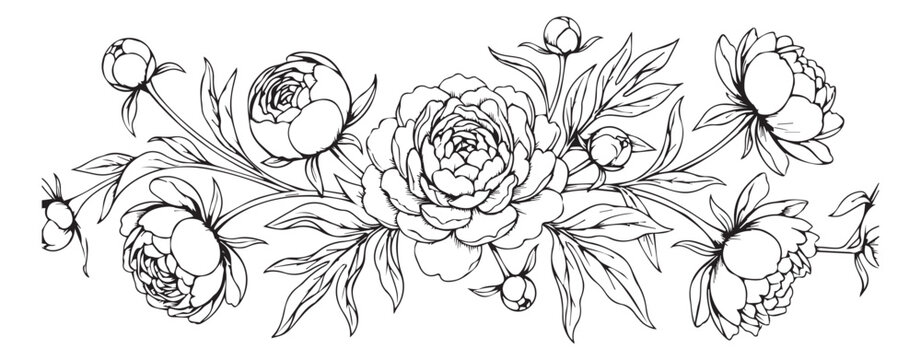 Vintage peony flower line art, hand drawn botanical floral border, elegant black and white garden bloom vector illustration for wedding stationery