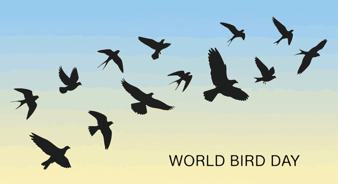 Silhouettes of birds flying against a gradient sky background