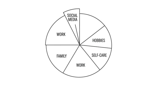 Pie chart illustrating life balance and time allocation categories
