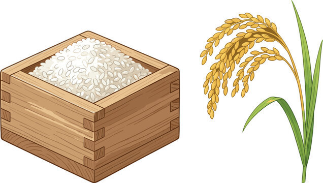 Wooden Box Filled with White Rice and Golden Rice Plant Stem Vector Illustration Set for Food, Agriculture, Asian Cuisine, and Market Design Projects