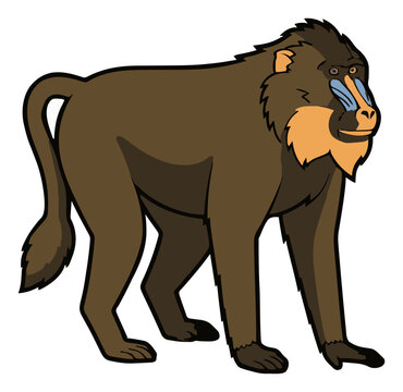 Mandrill baboon primate animal vector illustration. Generative AI