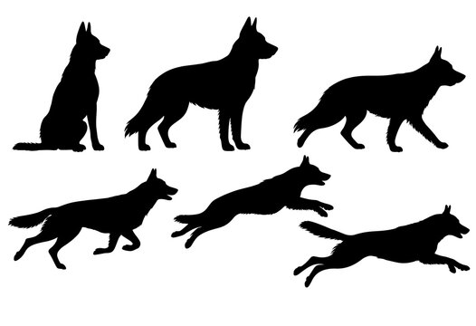 Pack of german shepherd dog silhouettes running jumping and sitting in sequence.