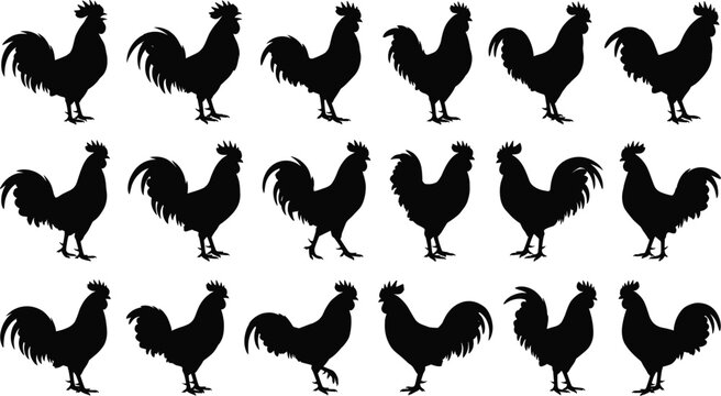 Rooster silhouette vector collection featuring farm birds in diverse poses isolated on white background