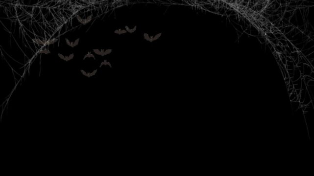 Spooky Halloween Bat Animation with Cobweb Frame, Dark Horror Motion Graphic Background for Haunted Holiday Videos