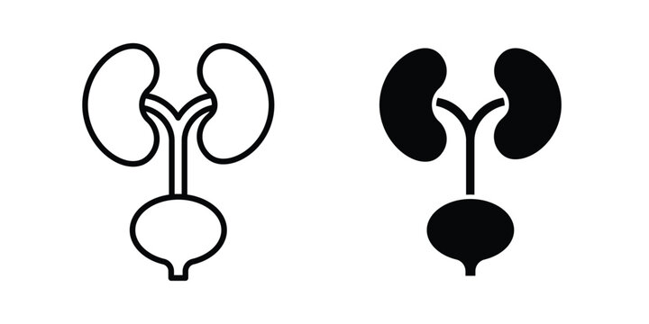 Urinary System icon
