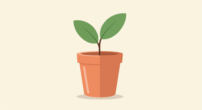 A small plant sprout in a brown pot