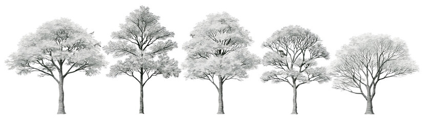 Obraz premium Silhouette trees set on transparent background