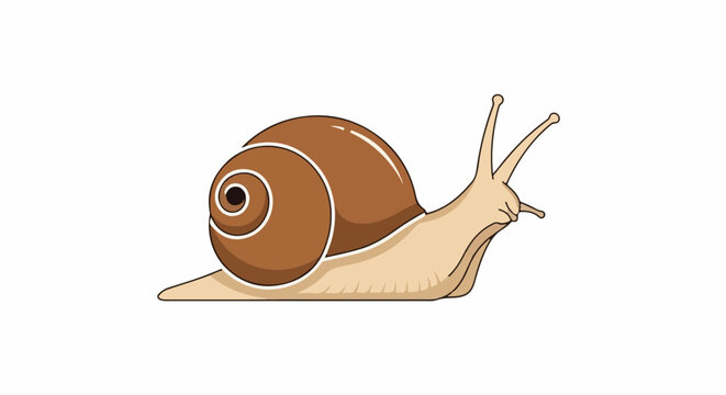 Cartoon snail with brown shell and beige body on white background