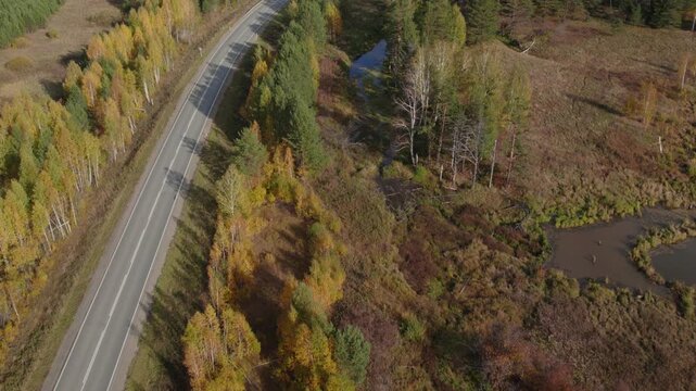 Drone view of a curving asphalt road beside mixed woodland and marshy stream in autumn colors, rural Ural Mountains region, Russia, with no people and open nature