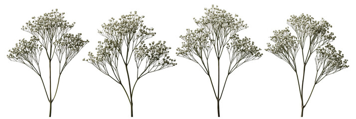 Obraz premium Set of small leafless trees illustration on transparent background