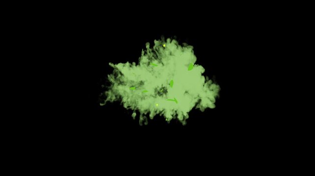 2D Flash animation with smoke elements, cartoon smoke explosion on a black screen background, cartoon style bule smoke explosion effect, white smoke explosion flash fx effect