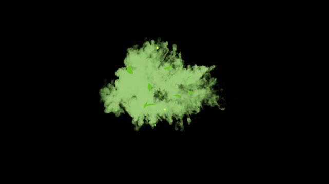 2D flash smoke animation, cartoon smoke explosion on a black screen background, cartoon style bule smoke explosion effect, white smoke explosion flash fx effect, smoke flash motion graphics animation.
