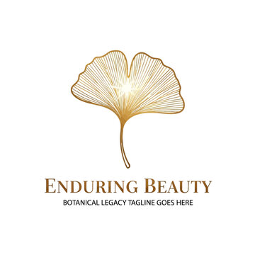 Elegant gold-toned ginkgo leaf symbol conveying timeless beauty and wellness, suitable for high-end cosmetics, spas, and heritage brands.