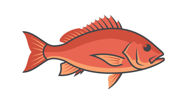 Vibrant Orange Red Fish Swimming.