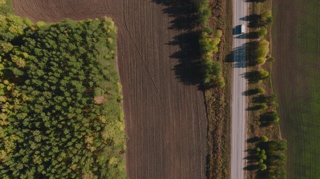 Top-down drone footage of a straight countryside road lined with trees beside plowed and green agricultural fields, spring landscape in the Ural region, Russia