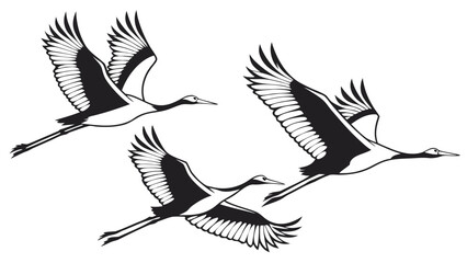 Fototapeta premium Vector illustration of a flock of cranes birds in flight with wings spread wide wildlife migration majestic