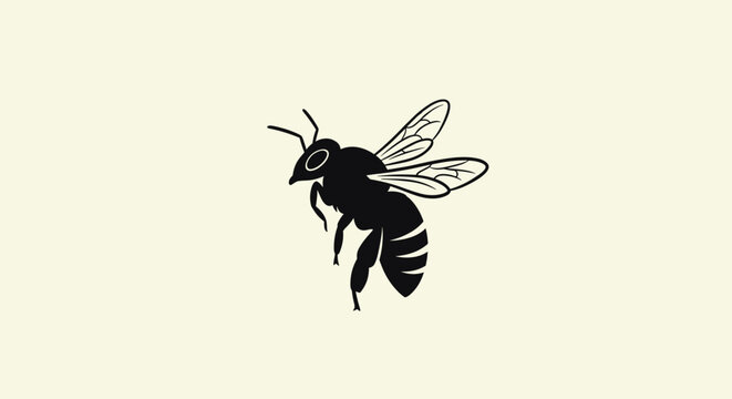 Black and white bee insect.