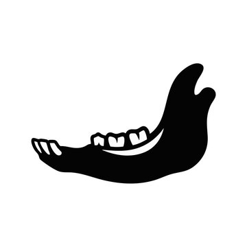 Goat jawbone with teeth silhouette vector illustration. Anatomical mandible black icon. Isolated veterinary and biology graphic