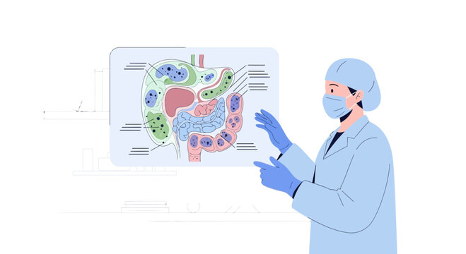 Doctor Explaining Digestive System Anatomy Diagram