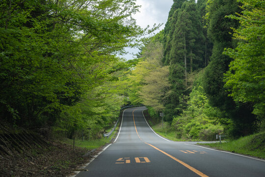 Yamanami Highway Surrounded by Fresh Green Trees, Oita, Japan