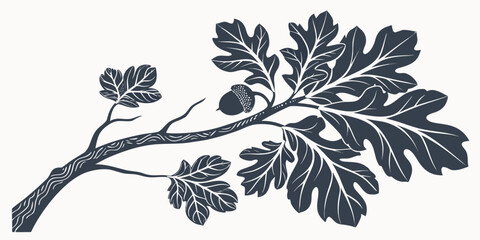 Graphic illustration of oak branch with acorn and detailed foliage botanical illustration woodland seasonal monochrome isolated decoration detailed creative silhouette © Mamun