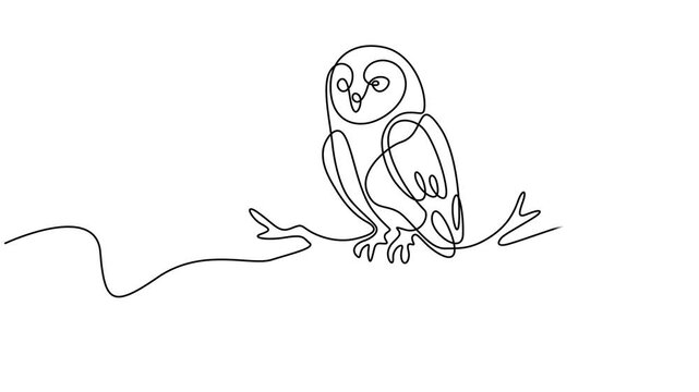 owl perched animation continuous line drawing, Full HD Video of a Perching Owl Bird Continuous one line drawing. simple hand drawn style design animal., elegant owl bird head for company logo identity
