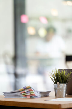 Stack of documents and small plant on office desk, copy space.