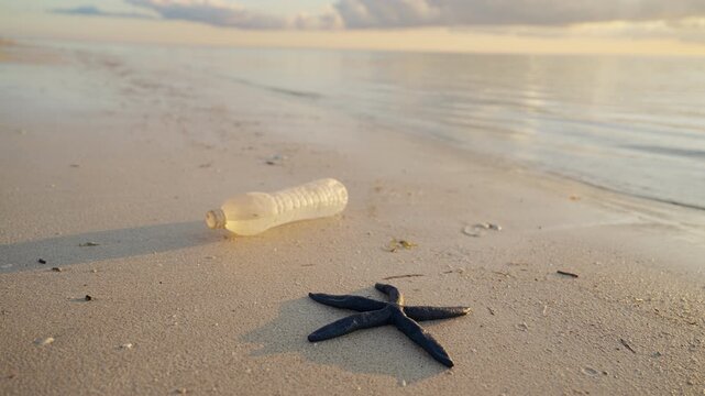 plastic in ocean, marine life microplastic water bottle pollution on beach, sea in background, starfish animal, indonesia, southeast asia