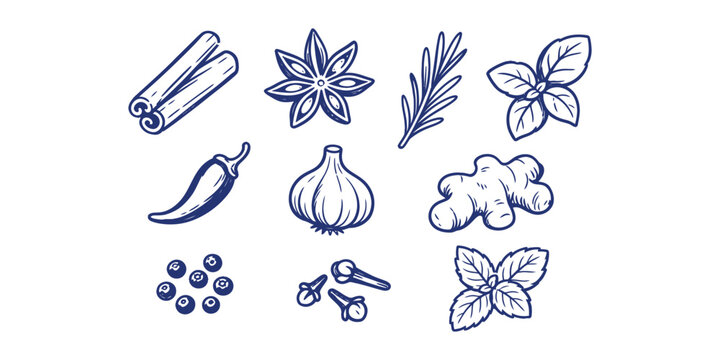 Hand-drawn kitchen spices and organic herbs sketch element icon set vector illustration on white background
