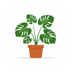 Obraz premium Flat design Monstera plant in a terracotta pot