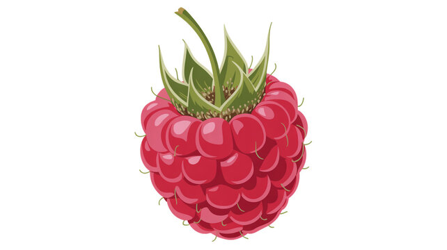 Detailed of a single ripe red raspberry with green sepals