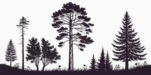 Detailed forest silhouette with pine trees and meadow grass silhouette landscape woodland evergreen wilderness background outdoors illustration environment coniferous © Mamun