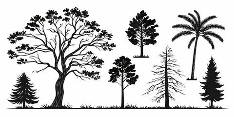 Collection of various tree silhouettes for landscape design with silhouettes landscape vegetation collection woodland branches environment deciduous evergreen botanical seasonal isolated © Mamun