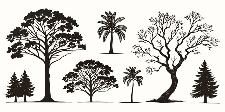 Set of mixed tree silhouettes featuring various types and sizes silhouettes landscape botanical woodland deciduous evergreen branches illustration isolated elements environment seasonal