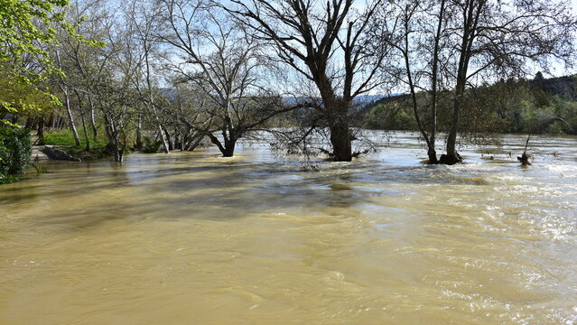 flooded river Ebre in region of village Xerta in Spain