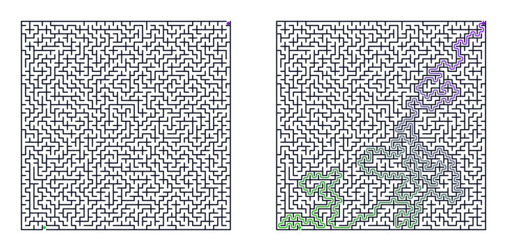 Abstract maze patterns with colored paths on a white background  