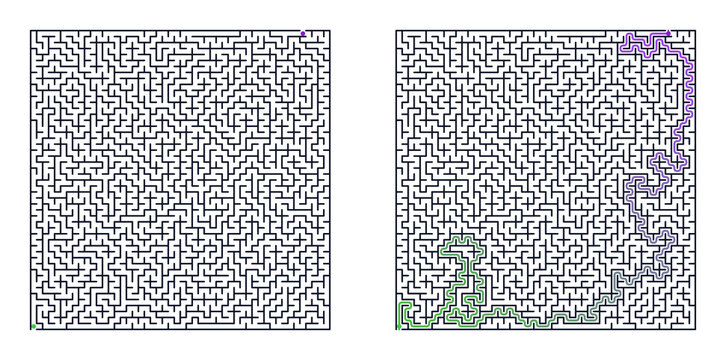 Maze puzzles illustration with solved path on right side  