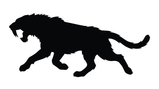 Detailed black vector illustration of a snarling prehistoric saber tooth tiger in a dynamic pose