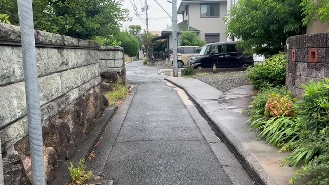 散歩 train on the road