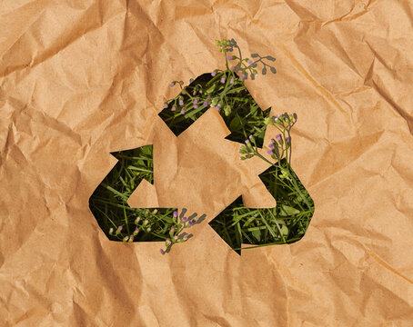 Recycle symbol cut on crumpled paper with grass, circular economy, sustainability and environmental recycling