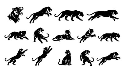 Majestic Tiger Silhouette Set Vector Wild Cat Illustrations for Logos and Mascots © Mdyounus