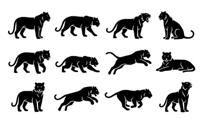 Tiger Vector Silhouette Collection with Majestic Wild Cat Poses for Logos Tattoos and Mascots © Mdyounus