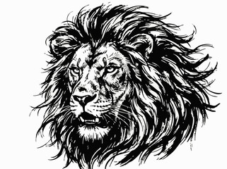 Obraz premium Lion Head Portrait with Thick Mane in Black Ink Brush Strokes Isolated on White Background