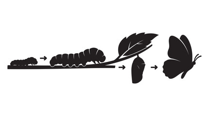 Butterfly Metamorphosis Stages With Leaf Black Silhouette © MDSHANTO