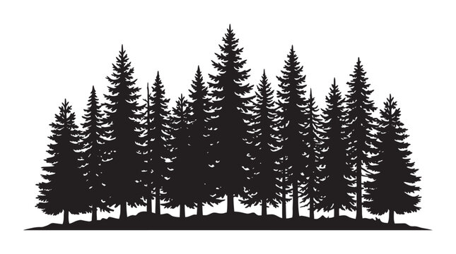Coniferous Tree Silhouette Against White Background Forest Landscape Silhouette